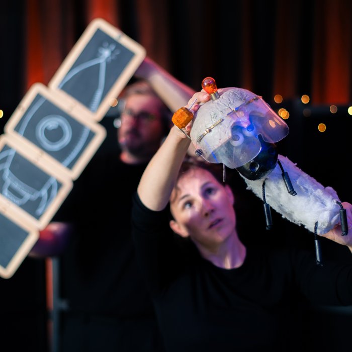 L'A(gneau)stronaute 1.jpg