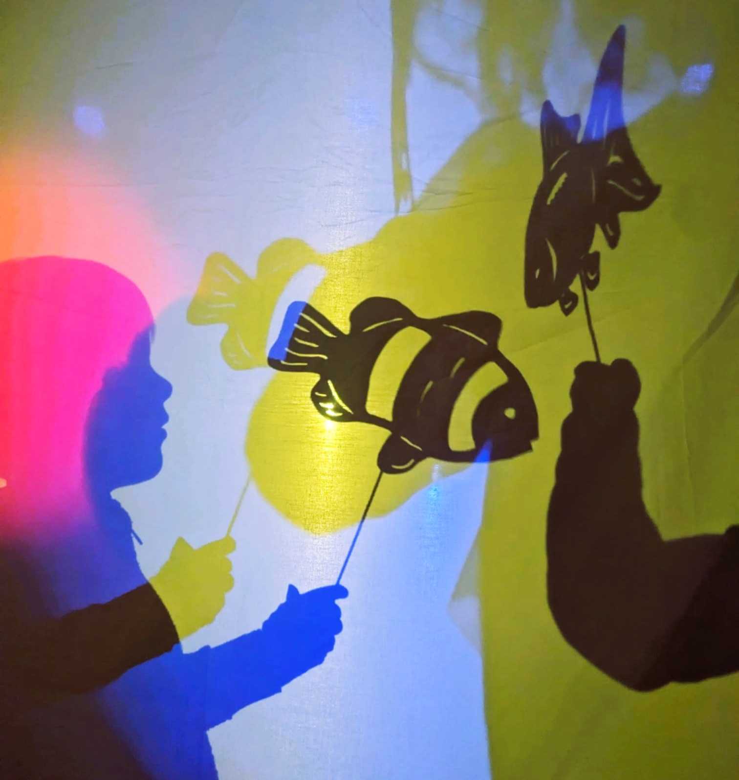 ateliers_cirque_et_ombres