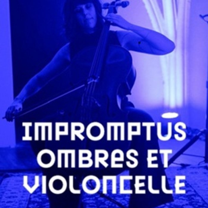 Visuel_ombres_et_violoncelle.jpg