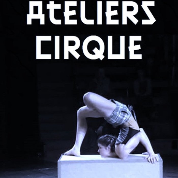 visuel ateliers cirque.JPG